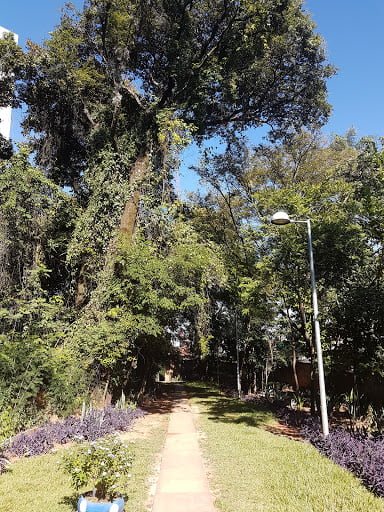 parque da matinha bh arreda uai sô bendizê