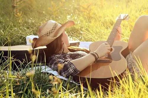 musica sertaneja minas gerais villa mix bh