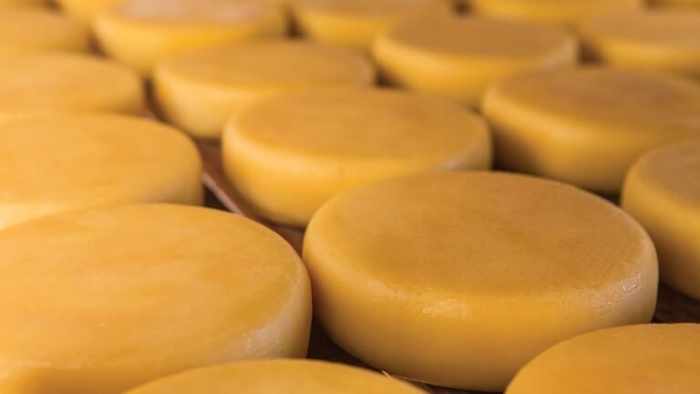 queijo mineiro artesanal bendizê