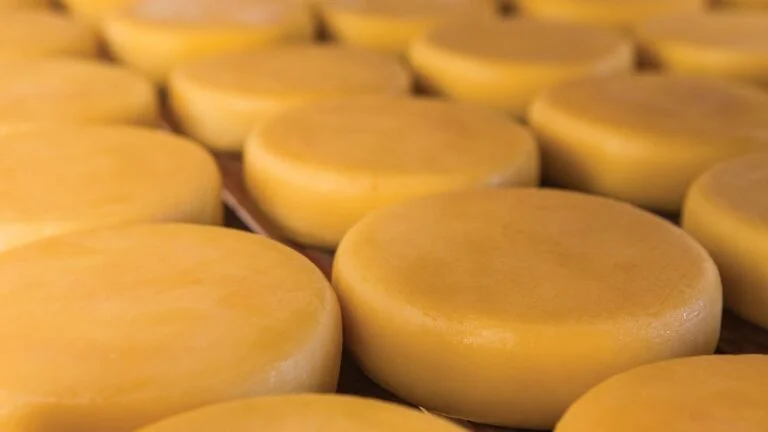 queijo mineiro artesanal bendizê