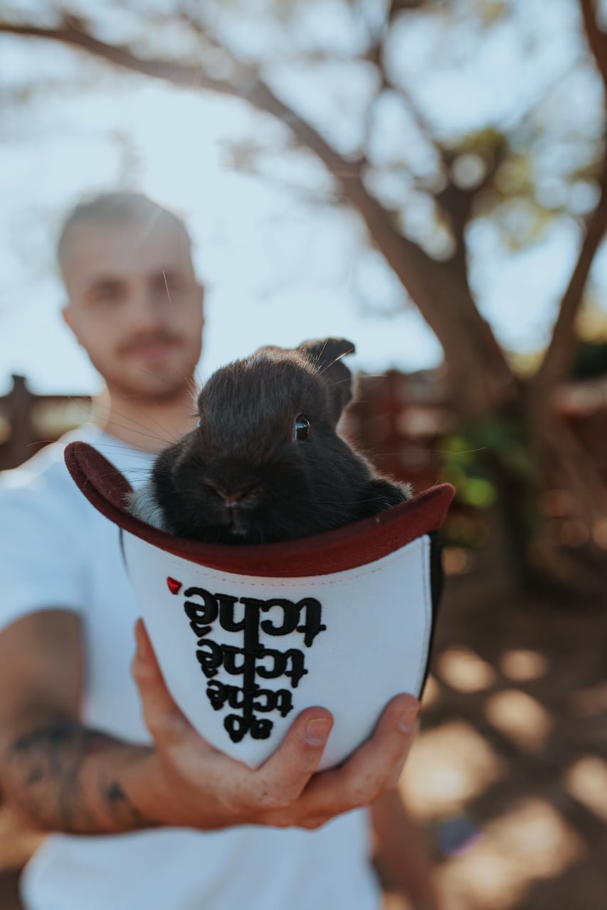 gustavo tubarão boné aô tchê tchê tchê camisetas bendizê