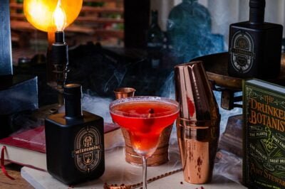 gin mineiro bendizê