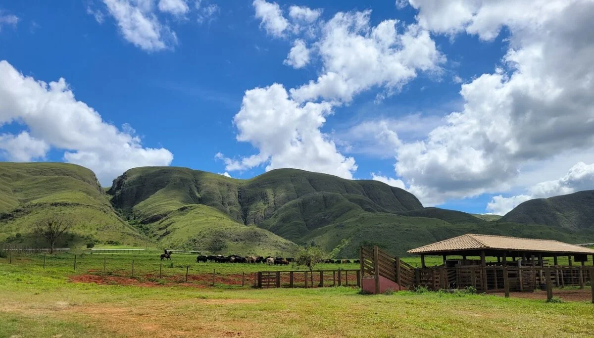 serra da canastra minas gerais bendizê camisetas frases mineiras
